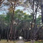 Dhoma Plazhi Agimi