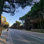 Dhoma Plazhi Agimi