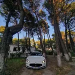 Dhoma Plazhi Agimi