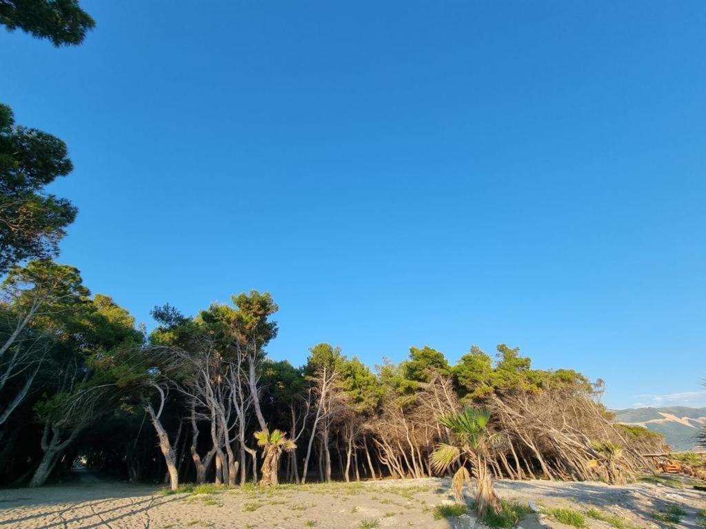 Dhoma Plazhi Agimi * Vlorë