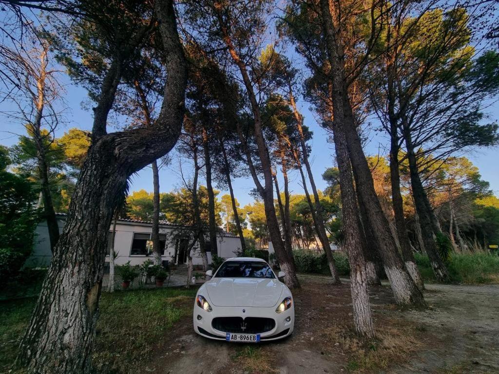 Dhoma Plazhi Agimi Apartamento