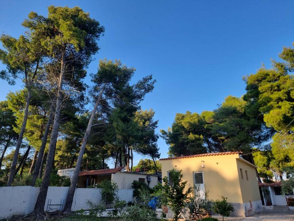 Dhoma Plazhi Agimi * Vlorë